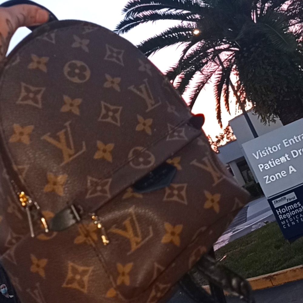 Louis vuitton Backpack